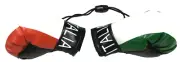 Italia Mini Hanging Boxing Gloves Red White Green Italy