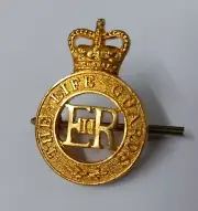 The Life Guards Hat Badge British Army (LG) Queens Crown Insignia H Cav NEW