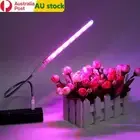 USB LED Plant Grow Light 5V LEDs Red Blue Spectrum Indoor Plants Lamp Light Bar