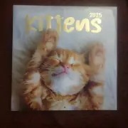 Cute Kittens Calender 2025 Brand New Unopened