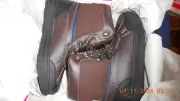 Nautica Men's Casual 9M Fall/Winter/Spring Boot flat Sole Bottom Rubber