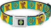 Scooby Doo Pet Collar, Dog Collar Metal Seatbelt Buckle, Scooby Doo Pose and Dog Tag Blocks Yellow Blue, 15 to 24 Inches 1.0 Inch Wide