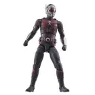 Hasbro MARVEL Marvel Legends Series Ant-Man, Ant-Man & The Wasp: Quantomania
