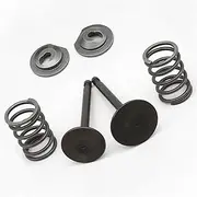 WQWQW Spring Retainer Kit Set Replacement Inlet Exhaust Valve for Honda GX160 GX200 168F 170F 5.5-6.5HP Gasoline Engine