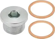 2 Pcs Car Oil Drain Plug M22x1.5mm Sump Drain Plug Screw with Seal Ring Car Spare Parts Compatible with Fiat Ducato (1994-2023) 2.3 2.5 2.8 3.0 Engines, 220133S