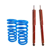 Rear HD STD Gabriel Guardian Shocks + Lovells Springs for Holden Commodore VB VK