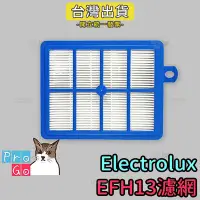 在飛比找Yahoo!奇摩拍賣優惠-【ProGo】Electrolux 伊萊克斯 EFH13 濾