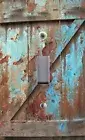 Light Switch Plate Cover RUSTIC HOME DECOR OLD BARN DOOR SPATTERED PAINT