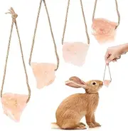 Natural Himalayan Lick Salt Block on Rope for Small Animal Mineral Salt Chew Toys with Rope Chew Treat Supplies for Guinea Pig Rabbits Bunny Ferrets (2PC)