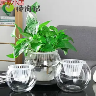 透明水培花盆花瓶植物擺件水培植物玻璃瓶容器水養盆栽器皿綠蘿