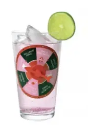 Roulette Drinking Glass Meridian Point Beer Cup NEW Drink Party Game