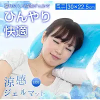 在飛比找蝦皮購物優惠-日本 枕頭 涼感墊 凝膠涼墊 降溫 坐墊 涼墊 冰墊 冷凝枕