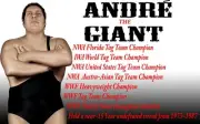 fridge refrigerator magnet 3.5x5 80's msg classic pro wrestling andre the giant
