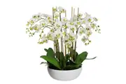 Glamorous Fusion Apple Green Phal Orchid White Artificial Faux Plant Decorative Arrangement In Pot