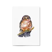 Watercolour Owl Painting Animal Nursery Wall Art
