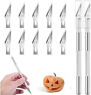 Precision Hobby Knife Kit,10 PCS Stainless Steel Carving Blades with Safety Cap and 2 Handles, Sharp Razor Knives Tool for Carving, Scrapbooking, Sculpture, DIY Art Work Cutting