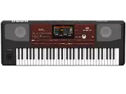KORG PA700 Professional Arranger Keyboard 61 key genuine product Brand New