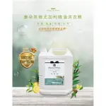 [韓國肯妮]【康朵】茶樹尤加利精油洗衣精 4000G