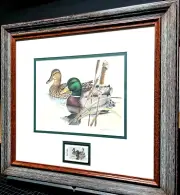 Larry Hayden 1981 Texas Waterfowl Duck Stamp Print W Stamp - Brand New Frame