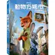 動物方城市 Zootopia DVD(2016/6/24發行))***限量特價***