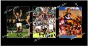 TONY MODRA FREMANTLE DOCKERS FC 3 8x6 LARGE PHOTOS