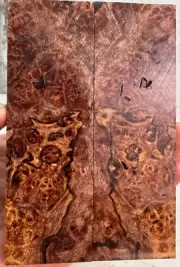 Stabilized Maple Burl Knife Scales | Spalted | SMB 921