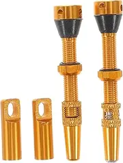 NOLITOY 4Pcs Bike Tire Cap with CNC Valve for Tubeless Valve Durable Inflation Nozzles for Air Compressor Attachments Quick Inflation and Backflow Prevention Golden