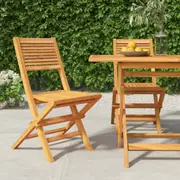Folding Garden Chairs 2 pcs 47x62x90 cm Solid Wood Teak vidaXL