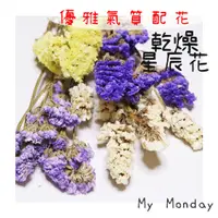 在飛比找蝦皮購物優惠-My Monday 衝評價 乾燥星辰花 多色 乾燥 花材【星