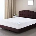 Waterproof Zippered Mattress Encasement Protector 6-Sided Cover Bed Bugs Proof