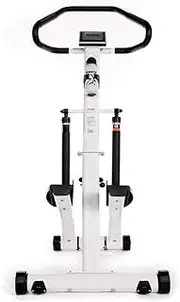 2-in-1 Elliptical Trainer Exercise Fitness Bike W/LCD Display,12-Speed Resistance Adjustment Safety Handrail Load-Bearing 265Lb，Home Mute Stepper Elliptical Machine Fitness Equipment Portable