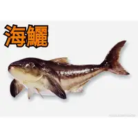 在飛比找蝦皮購物優惠-澎湖海產組合裝「海鱺魚、金鯧魚、嘉臘魚」台灣現貨供應－#澎湖