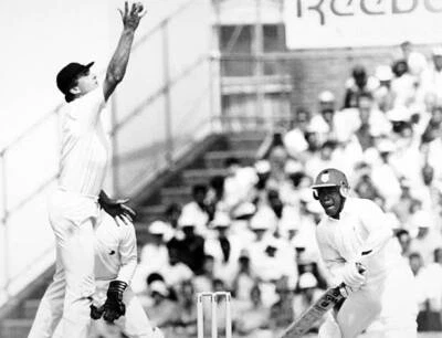 Rob Bailey catches but the ball came off batsman Desmond H - 1988 Cricket Photo
