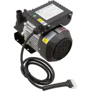 WE10 230V Pump, Circ, LX WE10, 230v, 3450rpm, 0.8A, 3/4"b
