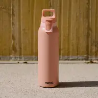 在飛比找momo購物網優惠-【SIGG】瑞士百年 SIGG 彈蓋輕量保溫杯 550ml 