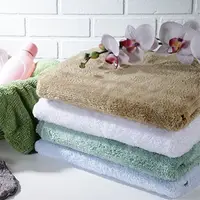 在飛比找PChome24h購物優惠-【新帛毛巾】台灣製 微絲開纖紗 浴巾×2入