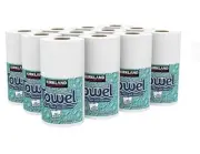 Kirkland Signature 2 Ply Paper Towel All Round Usage 12 Rolls x 160 Sheets