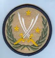 NEW ISSUE SSI: COMBINED JOINT TASK FORCE (JTF), OPERATION INHERENT RESOLVE