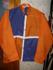 'BEHOLDER' or 'AUTHENTIC' SILKS FAMOUS RACE HORSE AUTHENTIC REPRODUCTION
