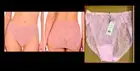Natori Lace Stretch French Cut Panties One Size Fits Most