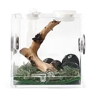 Clear Insect Bait Box - 1 Piece Reptile Feeder Container - Breathable and Portable Acrylic Transparent Reptile Habitat Case for Spiders, Lizards, Geckos, Snails Beetles - Terrarium Case for