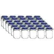 Bormioli Rocco 1L Swing Top Fido Glass Jars - Blue Lid | 30-pack
