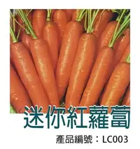 在飛比找Yahoo!奇摩拍賣優惠-*滿1200免運*【LC003】DIY種子栽種 成就滿滿~紅