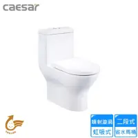 在飛比找momo購物網優惠-【CAESAR 凱撒衛浴】二段式省水單體馬桶/管距40(CF