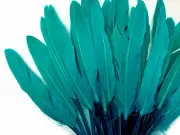 500 Feathers - Peacock Green Duck Cochettes Loose Wholesale Bulk Wing Quill
