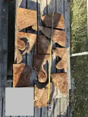Claro Walnut Burl Live Edge Epoxy Pieces LOT Of 10 #02