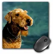 3dRose Airedale Terrier MousePad