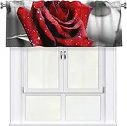 LHBWCVN Black and White Red Rose Valances for Windows, Rod Pocket Window Treatment Drapes Farmhouse Kitchen Curtains Short Blackout Window Curtains for Living Room Bedroom Decor 54x18 Inch