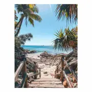 Sunshine Coast Steps Canvas Print