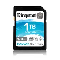 在飛比找蝦皮商城優惠-金士頓 1TB Kingston Canvas Go!Plu